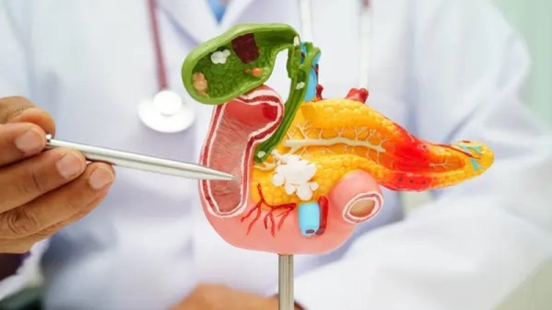 Жыл сайын ұйқы безі ісігінен 10 200 адам: дәрігер кеңесін біліңіз