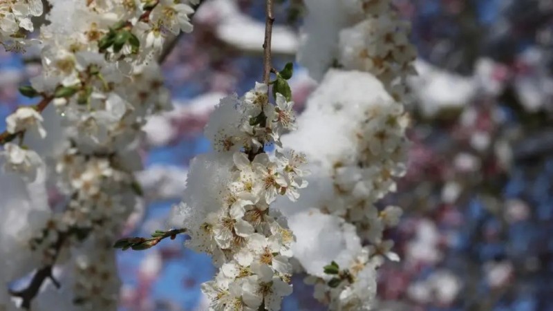 Қазақстанда алдағы үш күнде 5 градусқа дейін аяз болады