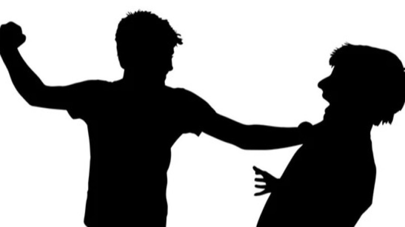 11 жастағы бала 5 жасар інісін өлтірді деген айыппен тергеліп жатыр