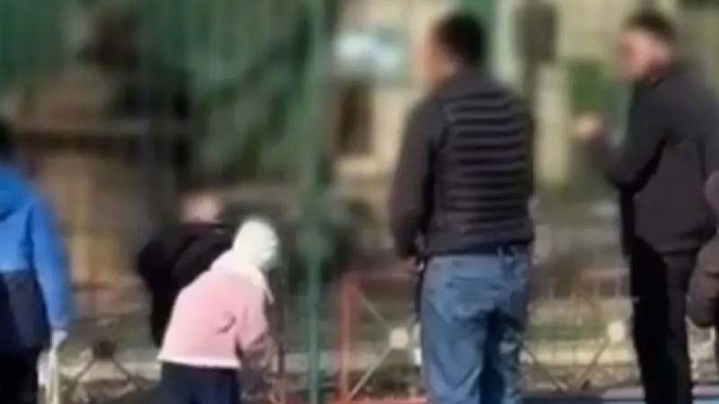 Семейде ересектер балалардың көзінше арыстандардың торына тас лақтырған