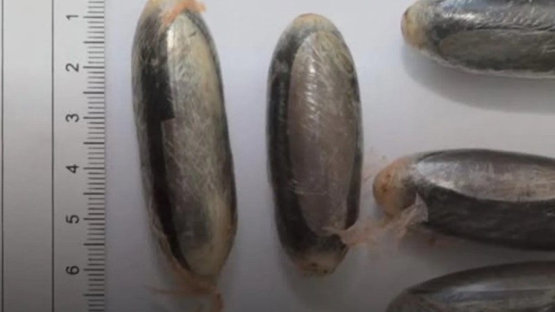 Әуежайда ер адамның ағзасынан есірткі толы 88 капсула табылды (ФОТО)