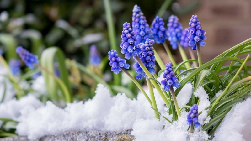 Қазақстанда алдағы үш күнде -18 градусқа дейін суытады
