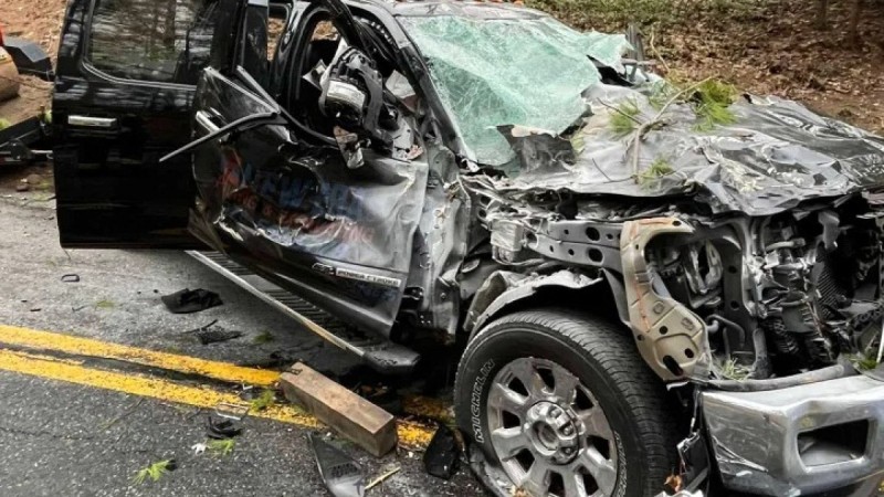 Көліктің үстіне 30 метрлік қарағай құлаған: ішінде 3 адам болды