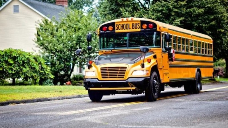 Автобус жүргізушісінің талмасы ұстап, ағашқа соғылған: ішінде 26 бала болды