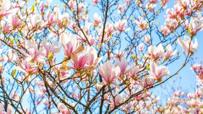 Қазақстанда алдағы үш күнде ауа райы 28 градусқа дейін жылынады