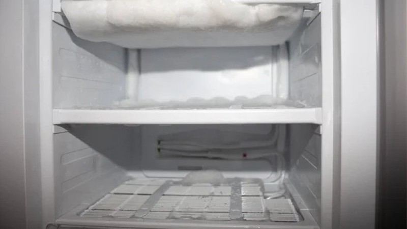 Баласы анасының зейнетақысын алу үшін жылдар бойы мәйітін мұздатқышта сақтаған