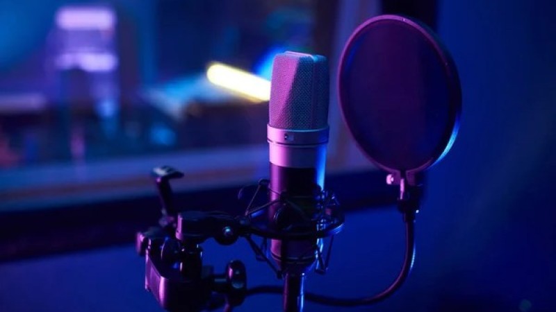 Танымал орындаушыға кәмелетке толмаған қызды өлтірді деген айып тағылды