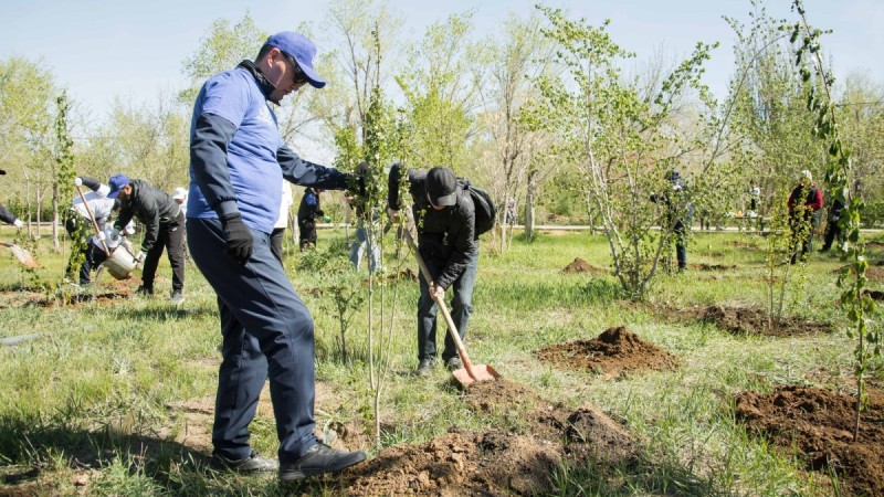 Кеншілер мен металлургтер Жезқазғанда 150 түп ағаш отырғызды