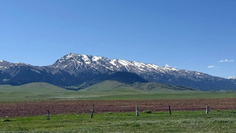 Қазақстанда тегін жер учаскелері беріледі: алу үшін не істеу керек?