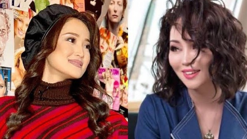 Мөлдір Әуелбекова Баян Алагөзованың концертіне қатысудан бас тартты