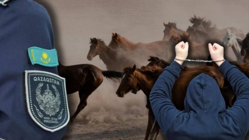 17 жыл сенім артқан бақташы мал ұрлығына күдікті болды