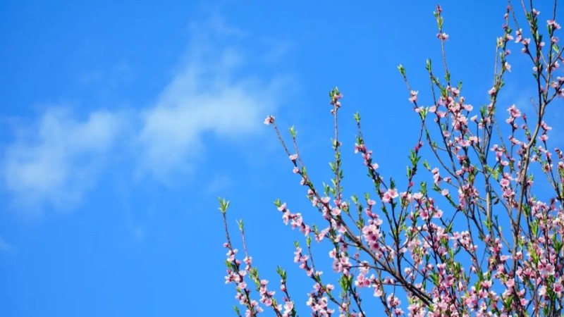 Қазақстанда алдағы үш күнде 32 градусқа дейін ыстық болады