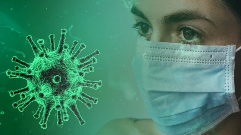 Жаңа пандемия басталуы мүмкін: жаңа жарқанат вирусы туралы не білеміз?