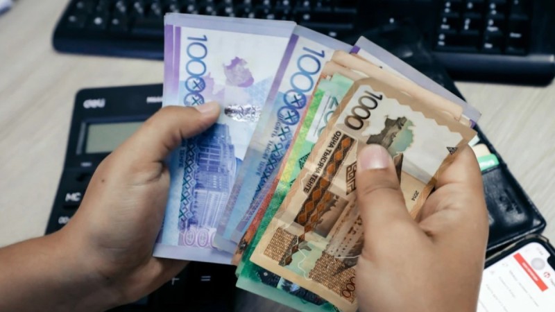 ІІ және ІІІ топтағы мүгедектерге жәрдемақы неге енгізілмейді? – Үкімет түсіндірді