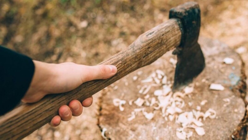 Алматыда оқушы шабуыл жасамақ болып, мектепке балтамен келген