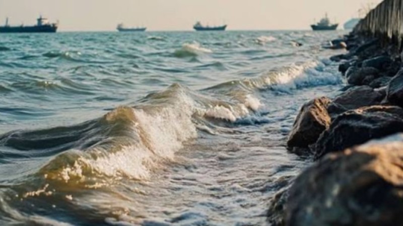 Каспийді сақтаймыз! Жаңа адамдар RES 2026 халықаралық саммитінде