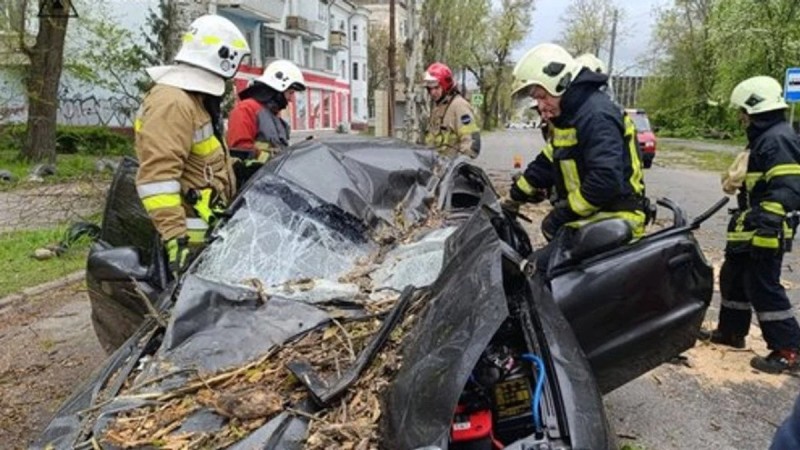 Қатты дауыл салдарынан көліктің үстіне ағаш құлап, жүргізуші көз жұмды