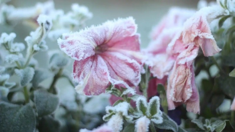−6°C дейін үсік, бұршақ, жаңбыр, дауыл: 11 мамырға ауа райы болжамы
