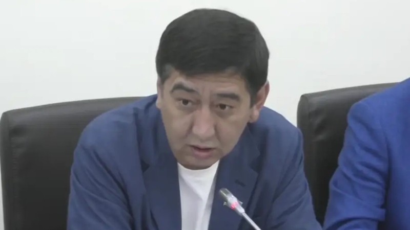 Депутат “Маша и Медведь“ және балабақшадағы ЛГБТ символикасы бар ойыншықтарға алаңдаушылық білдірді