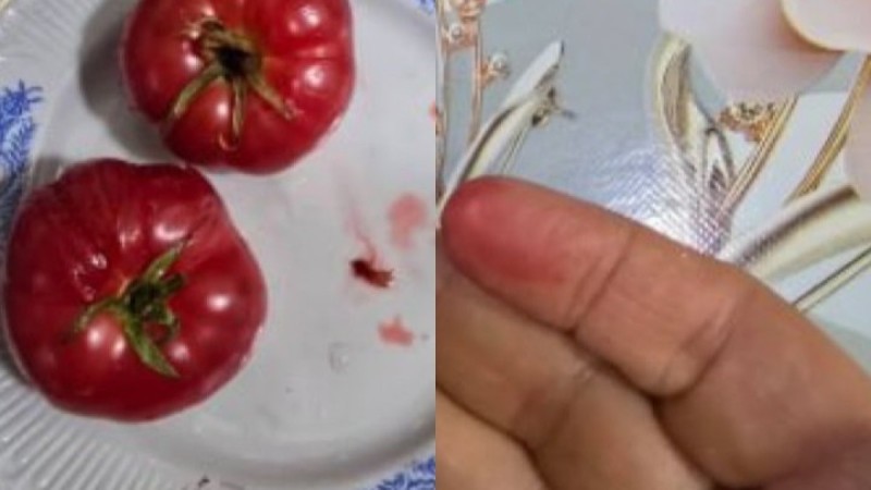 Базарларда боялған қызанақтар сатылып жатыр: Тұрғындар шу шығарды (ВИДЕО)