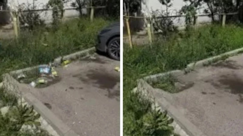 Алматыда әкімдік көшедегі қоқысты жасанды интеллект көмегімен “тазалаған”