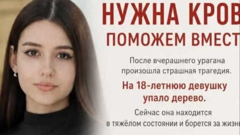 Үстіне ағаш құлаған 18 жасар бойжеткеннің жағдайы ауыр екені белгілі болды