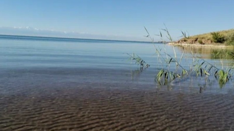 Қапшағайда 20 жасар қыз бен жігіт суға батып кетті