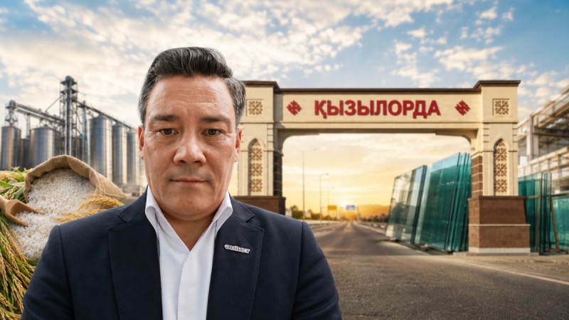 Қызылорданың шынысы мен күрішін қалай қорғауға болады? Сарапшы ұсыныс айтты