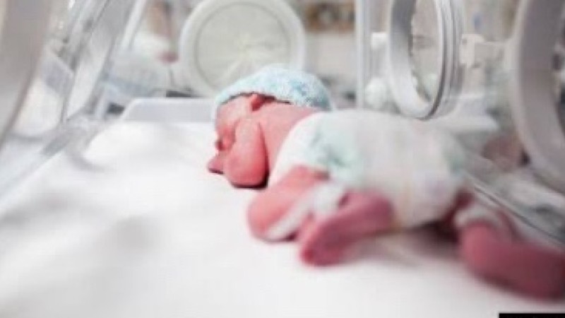 Түркістанда баласын әжетханада туып, өзі көміп тастаған әйел екі жылға сотталды