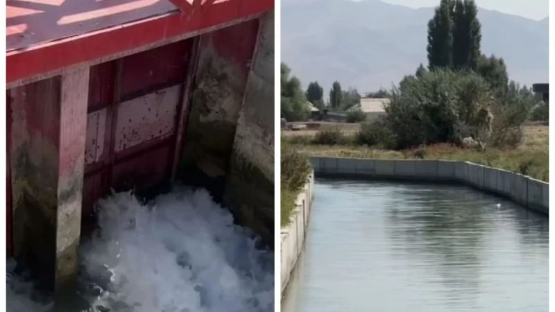 Тараздағы каналдан шақалақтың мәйіті табылды