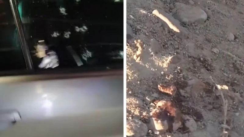 Алматы облысында әкесі мен ұлы тұрғындарға оқ атты деген күдікке ілінді