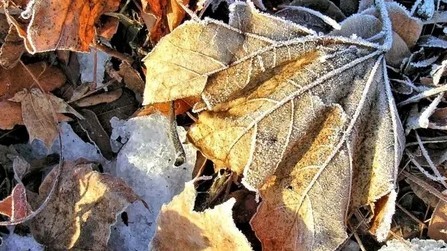 Қар, көктайғақ, бұрқасын: 6-8 қазанға ауа райы болжамы жарияланды